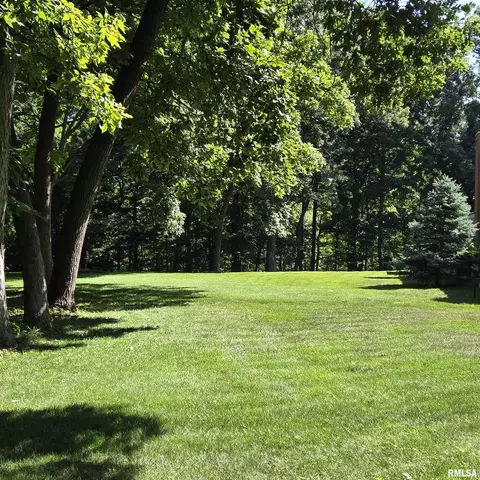Exterior - 309 W Eagle Nest Rd, Dunlap, IL 61525 photo 20 of 21