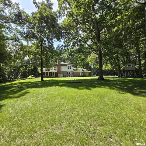 Exterior - 309 W Eagle Nest Rd, Dunlap, IL 61525 photo 10 of 21