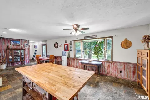 Other - 800 E 8th St, Delavan, IL 61734 photo 4 of 25