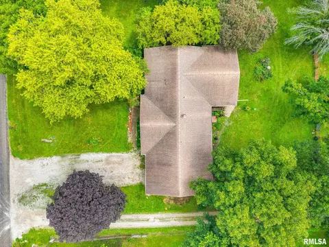 View/Area - 800 E 8th St, Delavan, IL 61734 photo 16 of 16