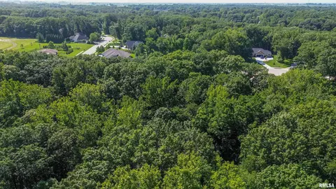 23 Timber Wolf Dr, Morton, IL 61550 photo 11