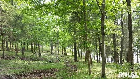 240 Parrish Ridge Lndg, Goreville, IL 62939