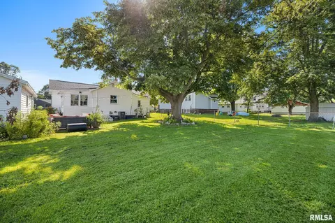 Exterior - 603 N Maple St, Minier, IL 61759 photo 5 of 7