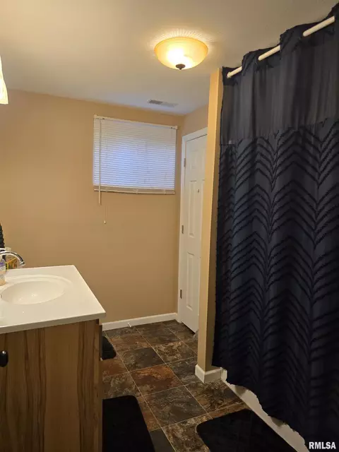 Bath - 15749 E Pawnee Dr, Cuba, IL 61427 photo 7 of 8