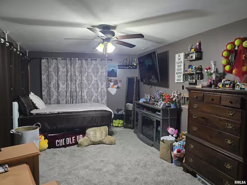 Bedroom - 15749 E Pawnee Dr, Cuba, IL 61427 photo 6 of 13