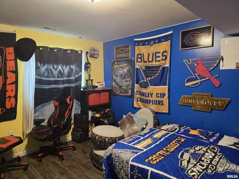 Bedroom - 15749 E Pawnee Dr, Cuba, IL 61427 photo 11 of 13