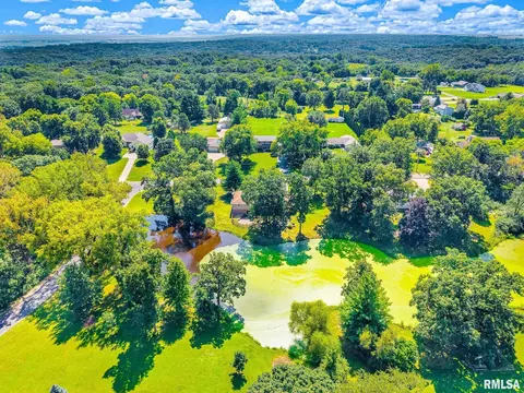 View/Area - 217 E Lake Shore Dr, Edelstein, IL 61526 photo 10 of 11