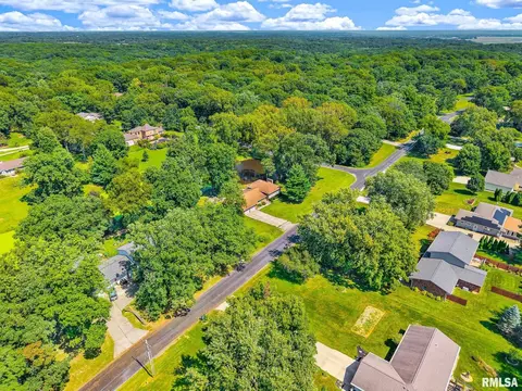 View/Area - 217 E Lake Shore Dr, Edelstein, IL 61526 photo 7 of 11
