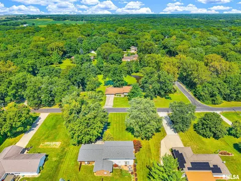 View/Area - 217 E Lake Shore Dr, Edelstein, IL 61526 photo 8 of 11