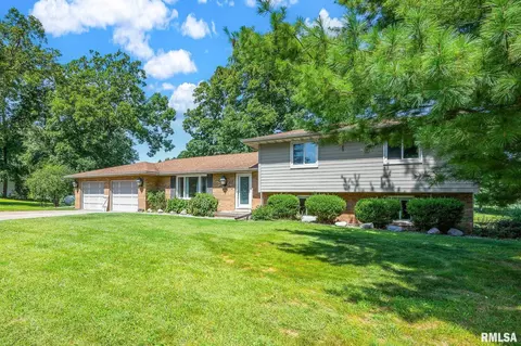 Other - 217 E Lake Shore Dr, Edelstein, IL 61526 photo 1 of 6
