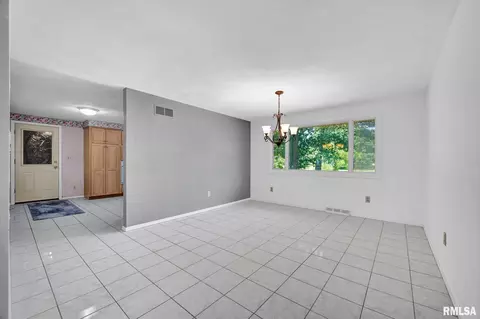 Other - 217 E Lake Shore Dr, Edelstein, IL 61526 photo 2 of 6