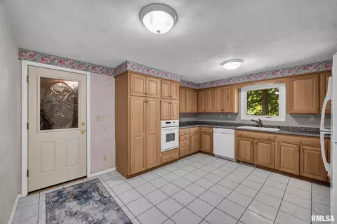 Other - 217 E Lake Shore Dr, Edelstein, IL 61526 photo 3 of 6