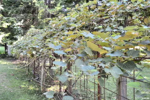Other - 340 S Randolph St, Macomb, IL 61455 photo 5 of 6