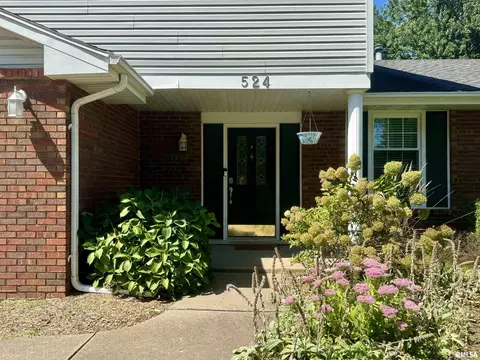 Other - 524 Meadow Dr, Macomb, IL 61455 photo 1 of 12