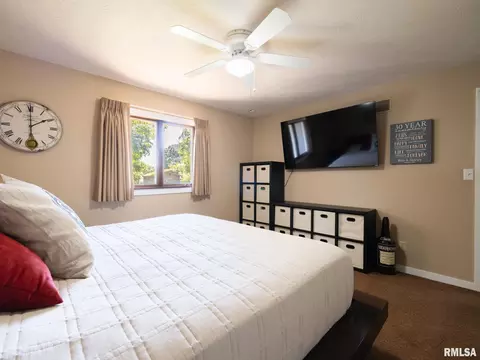 Bedroom - 704 E 2nd St, Delavan, IL 61734 photo 3 of 4