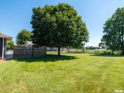 Exterior - 704 E 2nd St, Delavan, IL 61734 photo 10 of 13