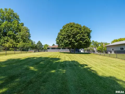 Exterior - 704 E 2nd St, Delavan, IL 61734 photo 3 of 13