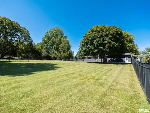 Exterior - 704 E 2nd St, Delavan, IL 61734 photo 9 of 13