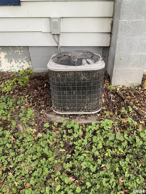 Exterior - 125 E Beech St, Canton, IL 61520 photo 6 of 6