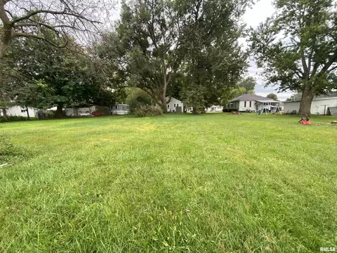 Exterior - 125 E Beech St, Canton, IL 61520 photo 5 of 6