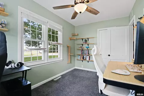 Other - 420 E Walnut St, Tremont, IL 61568 photo 3 of 4