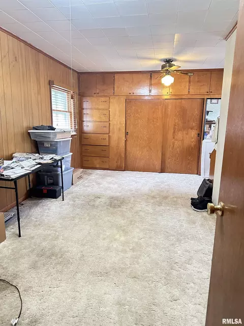Other - 409 W Spring St, Anna, IL 62906 photo 4 of 12