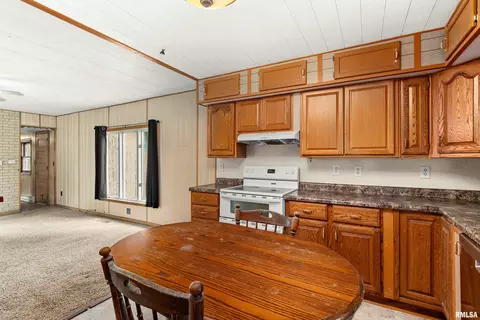 Kitchen - 8671 Timber Rd, Kewanee, IL 61443 photo 6 of 6