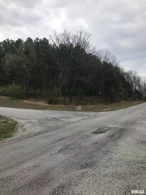 lot287 Parrish Ridge Ln, Goreville, IL 62939