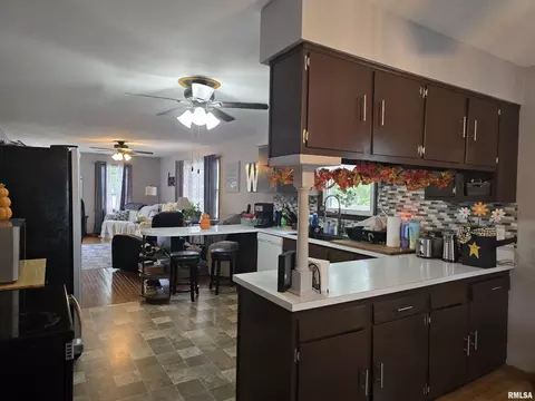 Kitchen - 1246 E Ash St, Canton, IL 61520 photo 4 of 4