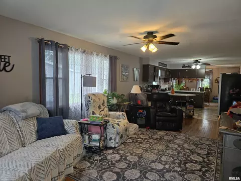 Living - 1246 E Ash St, Canton, IL 61520 photo 1 of 1