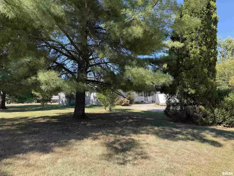 Exterior - 111 Stork St, Anna, IL 62906 photo 5 of 5