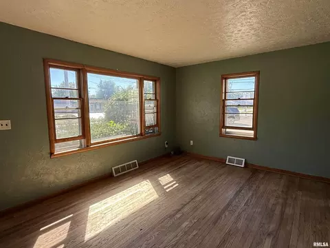 Living - 1127 E Chestnut St, Canton, IL 61520 photo 5 of 5