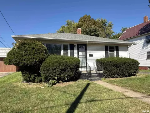Exterior - 1127 E Chestnut St, Canton, IL 61520 photo 2 of 6