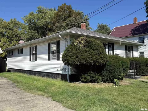 Exterior - 1127 E Chestnut St, Canton, IL 61520 photo 3 of 6