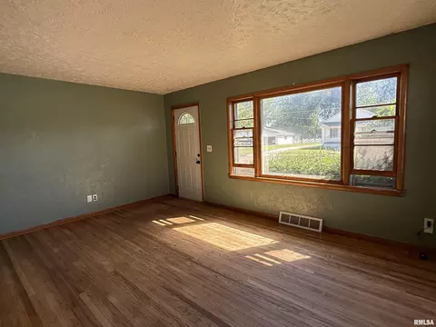 Living - 1127 E Chestnut St, Canton, IL 61520 photo 4 of 5