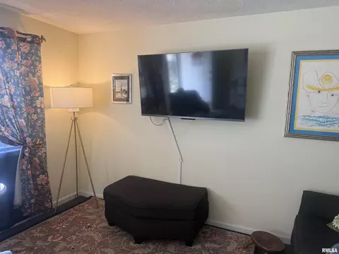 Living - 719 E Benson St, Herrin, IL 62948 photo 1 of 1