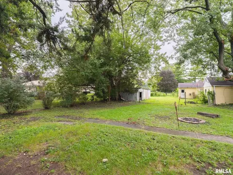 1412 Chestnut St, Canton, IL 61520 photo 6