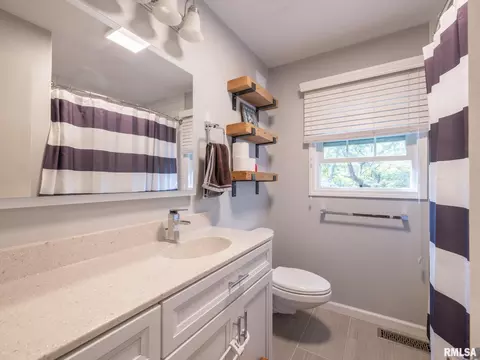 Bath - 1208 W Woodside Dr, Dunlap, IL 61525 photo 4 of 4