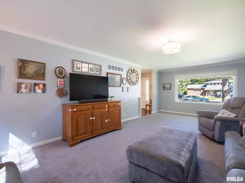 Living - 1208 W Woodside Dr, Dunlap, IL 61525 photo 6 of 10