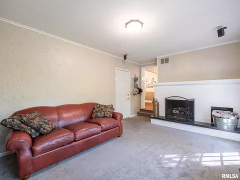Other - 1208 W Woodside Dr, Dunlap, IL 61525 photo 2 of 15