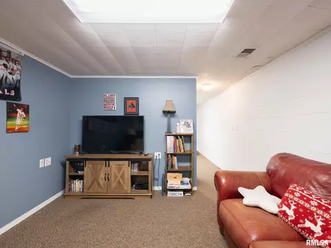 Other - 1208 W Woodside Dr, Dunlap, IL 61525 photo 6 of 15