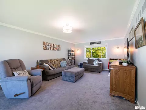 Living - 1208 W Woodside Dr, Dunlap, IL 61525 photo 1 of 10