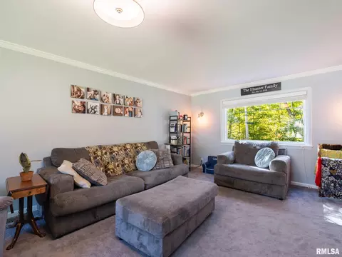 Living - 1208 W Woodside Dr, Dunlap, IL 61525 photo 3 of 10