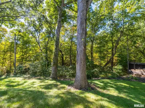 Exterior - 1208 W Woodside Dr, Dunlap, IL 61525 photo 11 of 12