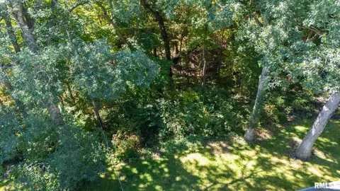 Other - 1208 W Woodside Dr, Dunlap, IL 61525 photo 14 of 15