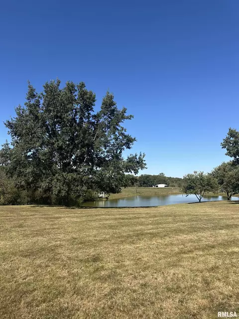 View/Area - 290 Cunningham Ln, Anna, IL 62906 photo 5 of 7