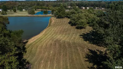 View/Area - 290 Cunningham Ln, Anna, IL 62906 photo 3 of 7