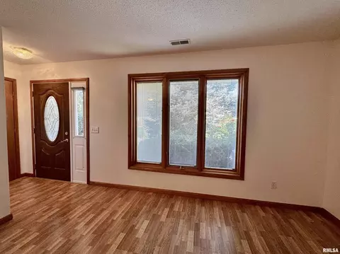 Other - 234 Scotch Pine Dr, Macomb, IL 61455 photo 3 of 12