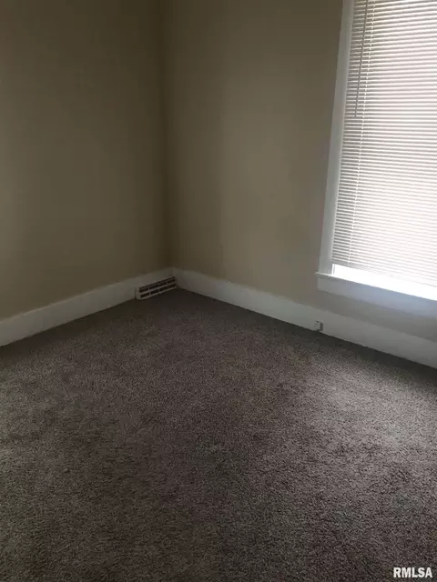 829 9th Ave, Fulton, IL 61252 photo 22