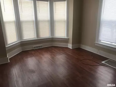 829 9th Ave, Fulton, IL 61252 photo 18